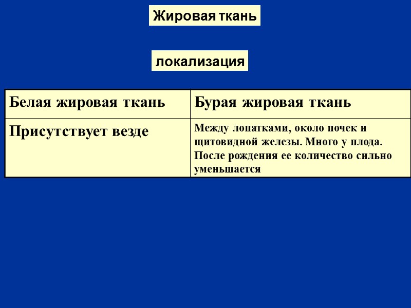 Жировая ткань локализация